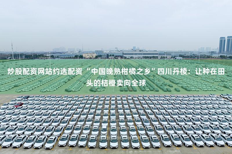 炒股配资网站约选配资 “中国晚熟柑橘之乡”四川丹棱：让种在田头的桔橙卖向全球
