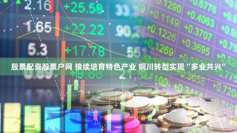 股票配资股票户网 接续培育特色产业 铜川转型实现“多业共兴”