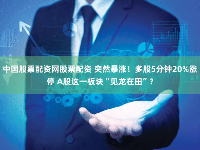 中国股票配资网股票配资 突然暴涨！多股5分钟20%涨停 A股这一板块“见龙在田”？
