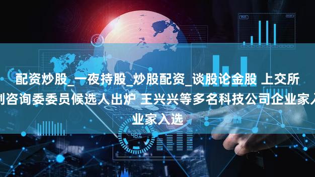 配资炒股_一夜持股_炒股配资_谈股论金股 上交所科创咨询委委员候选人出炉 王兴兴等多名科技公司企业家入选