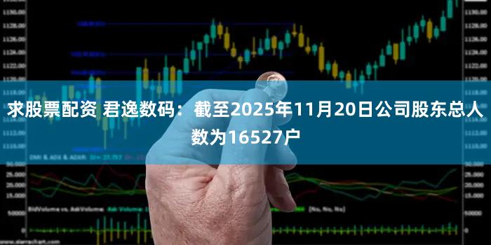 求股票配资 君逸数码：截至2025年11月20日公司股东总人数为16527户