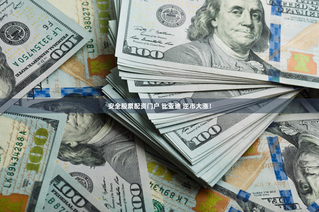安全股票配资门户 比亚迪 逆市大涨！