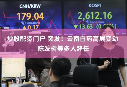 炒股配资门户 突发!云南白药高层变动 陈发树等多人辞任