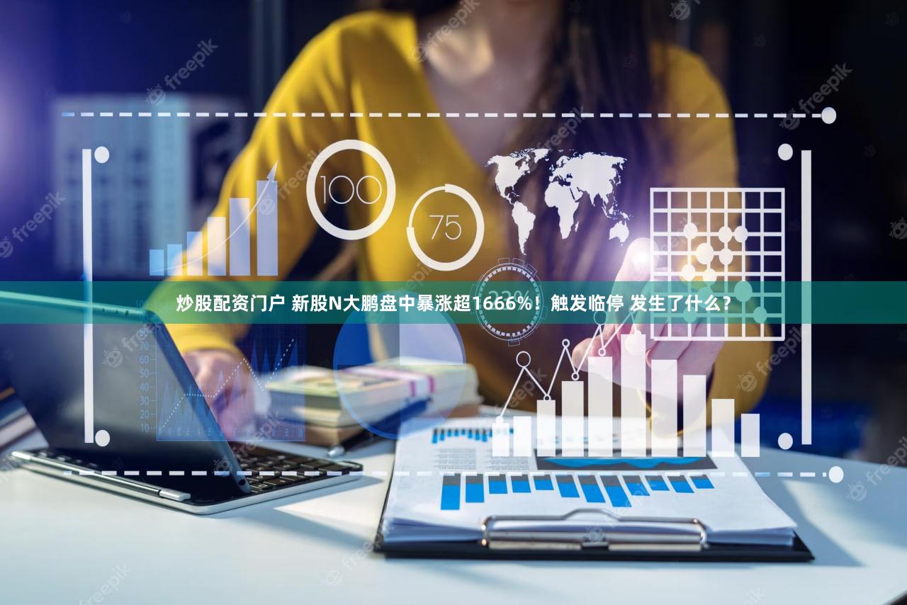 炒股配资门户 新股N大鹏盘中暴涨超1666%！触发临停 发生了什么？