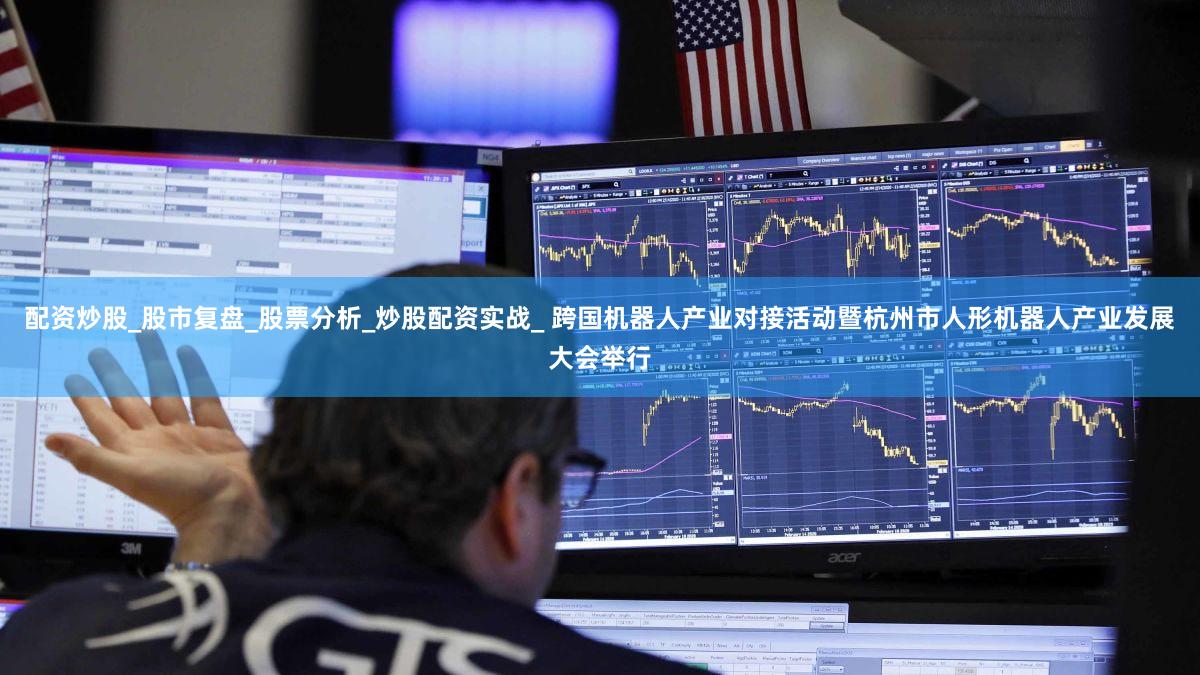 配资炒股_股市复盘_股票分析_炒股配资实战_ 跨国机器人产业对接活动暨杭州市人形机器人产业发展大会举行