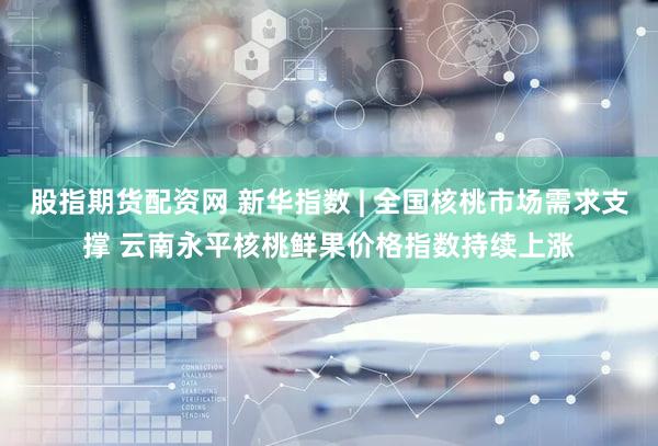 股指期货配资网 新华指数 | 全国核桃市场需求支撑 云南永平核桃鲜果价格指数持续上涨