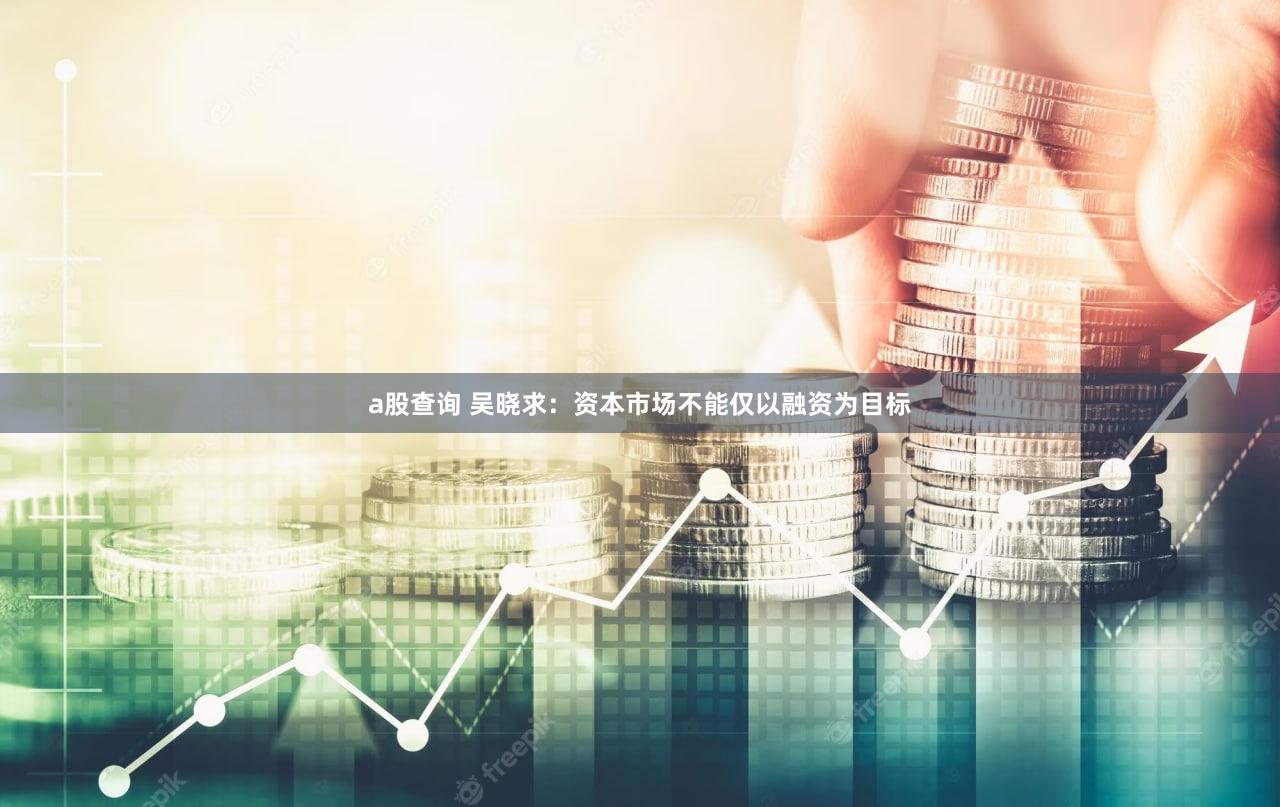 a股查询 吴晓求：资本市场不能仅以融资为目标